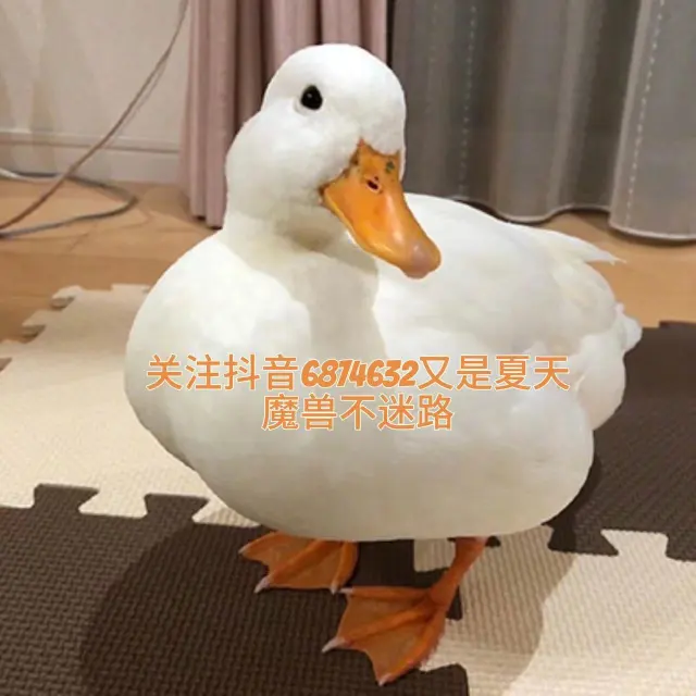 自用奶骑E框