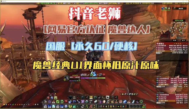 【抖音老狮】魔兽世界 国服20周年 包含全职业WA【全版本适配插件】