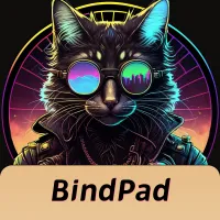 BindPad - 谷风修复版
