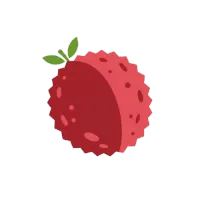 荔枝启动器 · Lychee Launcher