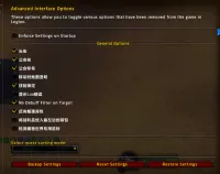 AdvancedInterfaceOptions