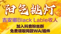 阳气挑灯-仇恨监控WA