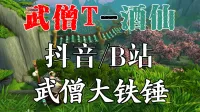 武僧11.0系列-和谐化身wa监控