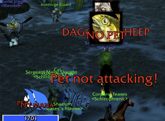 Taco - Warlock Pet Group