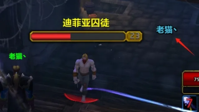 【老猫魔兽】在怪物血条上显示其目标的名字WA