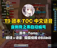 【露露】T9团本 十字军的试炼副本语音提示+刺骨之寒自动编号