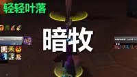 【轻轻叶落】泰坦重铸时光服《暗牧》技能提示wa