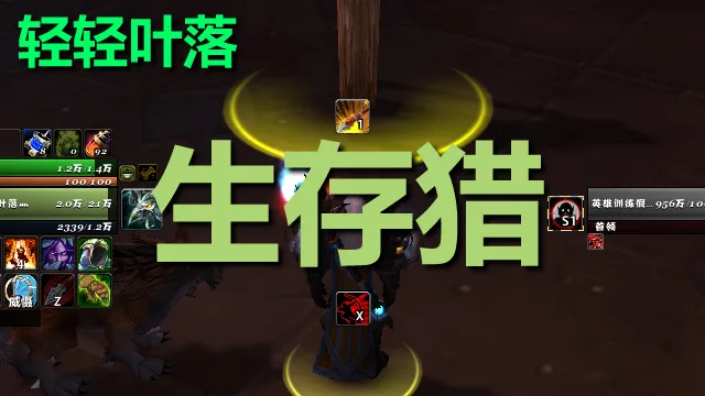 【轻轻叶落】泰坦重铸《生存猎》技能提示wa