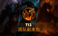 [Merfin] T13