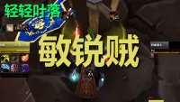 【轻轻叶落】熊猫人之谜-潜行者-敏锐贼输出技能提示