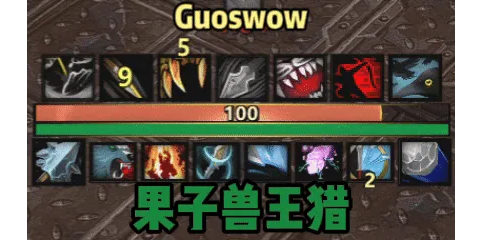 【果子Guos】兽王猎丨Beast Mastery Hunter*MOP
