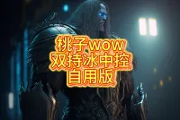 《桃子wow》双持冰dk自用中控wa自用版,包含血&邪部分