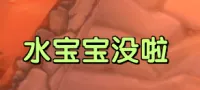 【梁老师】冰法水宝宝监控(含语音包)