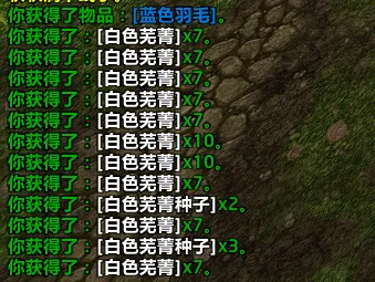 种子日历(四风谷种菜)