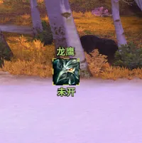 生存猎龙鹰守护未开启提示,可点击施法,开启后不显示,地下城可用。