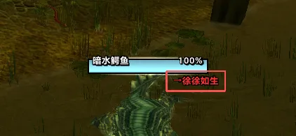 姓名板实时目标